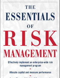 Image of E-BOOK : THE ESSENTIALS OF RISK MANAGEMENT