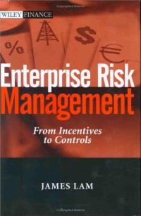 Image of E-BOOK : ENTERPRISE RISK MANAGEMENT FROM INCENTIVES TO CONTROLS