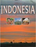 THIS IS INDONESIA